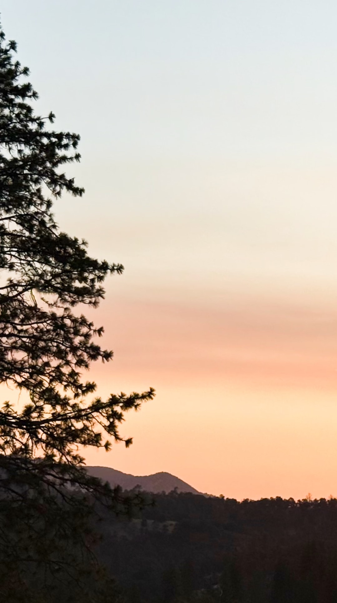 Pine Flat Roastery - Mobile View