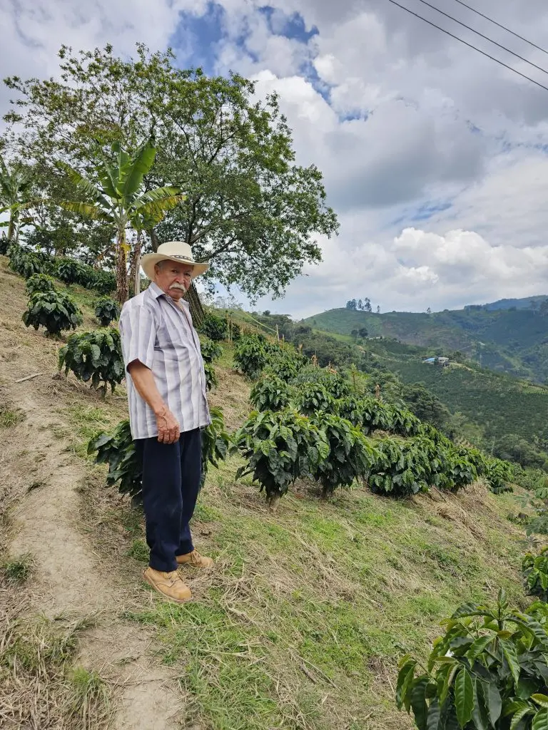 Generational coffee farmer standing on terraced farm in Huila