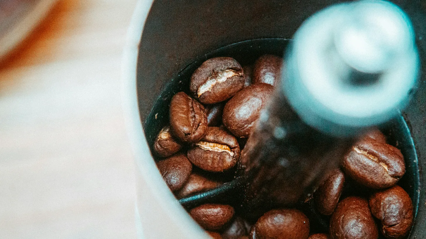 Coffee beans in a grinder before brewing